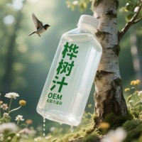 樺樹汁代加工無菌冷灌裝PET瓶