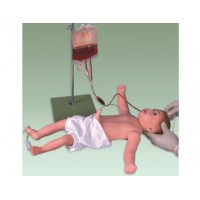 益聯醫學嬰兒全身靜脈穿刺模型